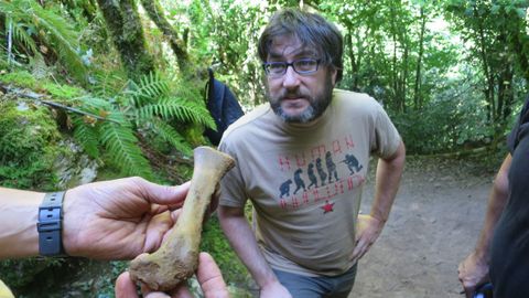 Arturo de Lombera examina un hueso fósil de animal desenterrado en las excavaciones del yacimiento paleolítico de Cova Eirós —en el municipio de Triacastela—, en una imagen de archivo