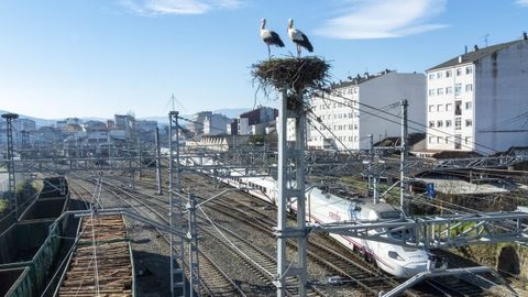 Una pareja de cigüeñas en un nido sobre una torreta de la estación de Monforte, en una imagen de archivo