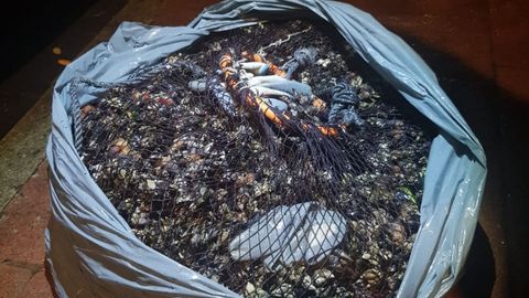 Imagen de archivo de percebes incautados en una operación contra el furtivismo en la costa gallega