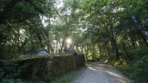 El cementerio está junto al Camino Primitivo