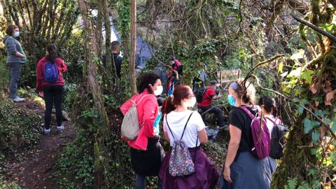 Continúa en Zas el programa «Andainas de Outono», que ayer tuvo su segunda salida por una ruta en proceso de homologación: la del agua. Muíños, restos de un batán, flora y fauna autóctonas, naturaleza, abellarizas y espectaculares fervenzas salpican este itinerario, que está ganando mucha popularidad entre los zasenses y también entre los visitantes
