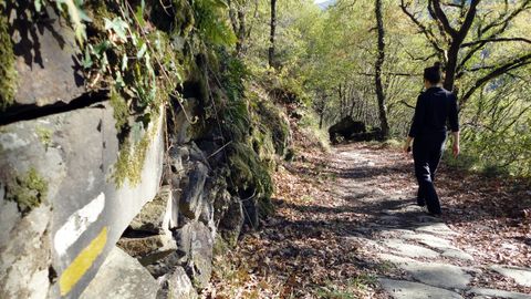 Un tramo del Camino de Invierno, una ruta histórica en la que se centra una de las actividades del programa