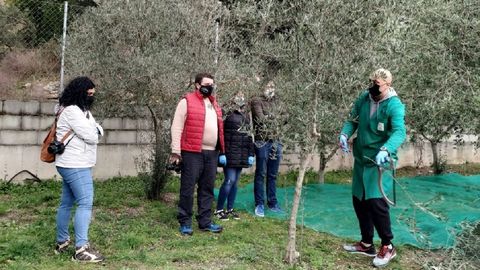 Visita guiada a un olivar de Quiroga organizada el pasado fin de semana dentro del programa turístico del consorcio de la Ribeira Sacra