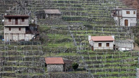 Bodegas de diferentes usos y volúmenes constructivos en la ribera chantadina de San Fiz