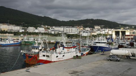 El puerto de Burela, en una imagen de archivo, de donde «un día salió como tripulante de pesquero» Jaime Méndez, a quien Pablo Mosquera dedica este obituario