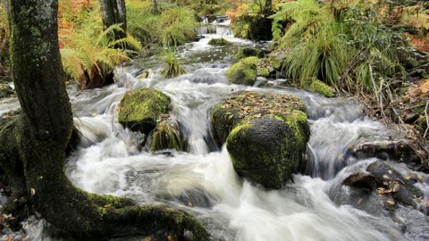 La ruta dos Muíños do Mera, un pulmón al lado de Lugo