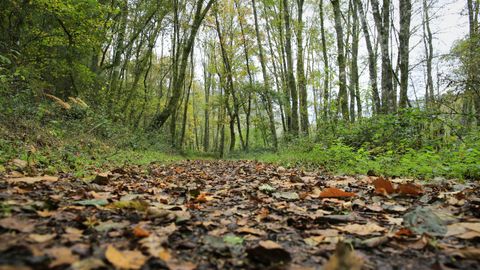 La Ruta dos Muiños sigue el cauce del río Mera