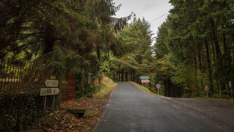 Se pretenden hacer mejoras viales en el entorno del monasterio, talando más de un centenar de árboles