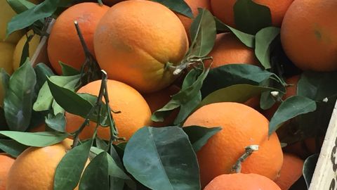 Las naranjas de mesa están al punto