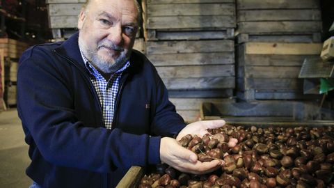 Jesús Quintá, presidente de la IXP Castaña de Galicia