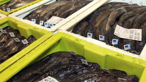 Friend of the Sea, Premio Alimentos de España y Galicia Calidade acreditan a la merluza del pincho de Celeiro, que sale de lonja con una etiqueta individual
