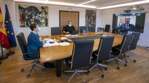 La directora xeral de Patrimonio, en la reunión por videoconferencia del comité español