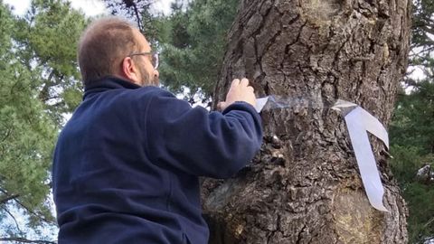 Imagen de los trabajos en enero del año pasado