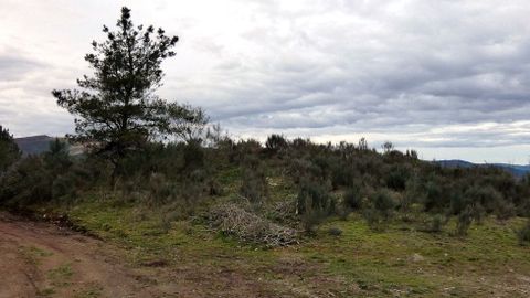 Mámoa en Ferreiros de Valboa, en Becerreá