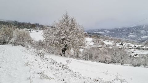 Paisaje nevado cerca de Vilarxoán, en O Incio