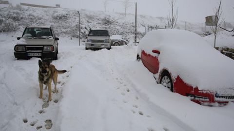 Esta ha sido la primera nevada importante del otoño del 2020