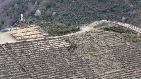 El mirador de Soutochao, sobre las viñas en bancales de Doade