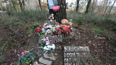 Así estaba este sábado el lugar en el que apareció muerta Asunta Basterra Porto el 22 de septiembre del 2013