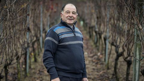 Alfonso Albor recibirá el premio Vida entre vides
