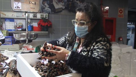 Venta de marisco en la plaza de Lugo.