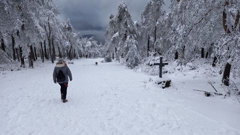 Así está estos días el Camiño da Virxe, el sendero que utilizan los penitentes para subir de rodillas hasta la capilla del Monte Faro en la romería del 8 de septiembre
