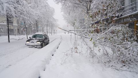 Muchas ramas han cedido al peso de la nieve en varias calles de Madrid
