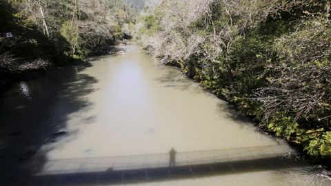 Aspecto del agua del río Eume, por debajo del embalse, a mediados del mes de octubre