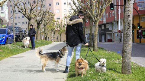 Foto de archivo de una persona paseando a sus perros durante el primer Estado de Alarma, en Lugo