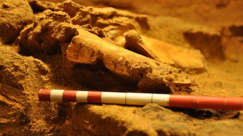 Extinción neandertal. Años 100000 BCE-40000 BCE. Diferentes causas, entre la que se incluirían ciertas epidemias, pudieron contribuir a la extinción neandertal.
