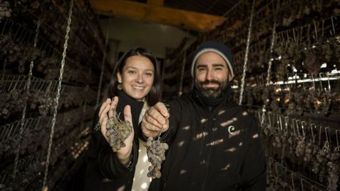 Jorge y Dori con unos racimos de las uvas que tienen en el sequeiro de su bodega