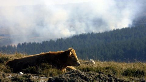 Imagen de archivo de un incendio invernal, de diciembre del 2001, en montes de Verín