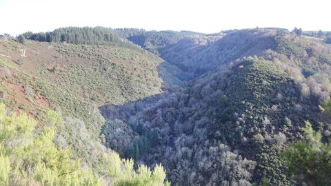 Ao largo da ruta pódese ver o monte entre Arquide e Vilarxubín