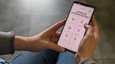 Apartado de «estado-situación» en la aplicación