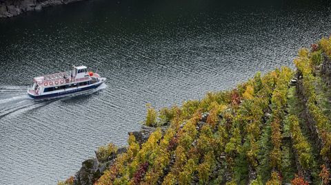 Uno de los barcos de la Diputación, este otoño en el cañón del Sil