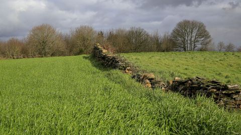 CASTRO DE COESES, EN LA ALDEA DE CEZA