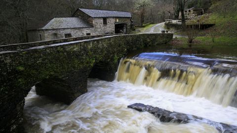 MAZO DE SANTA COMBA