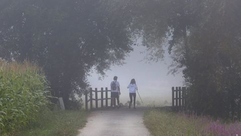 El río Umia con niebla en Ribadumia.El río Umia con niebla