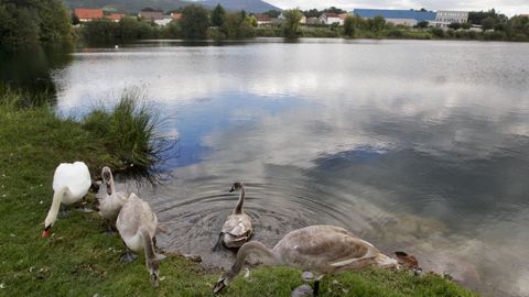 Pegada a la PO-548 Valga esconde la laguna de Mina Mercedes