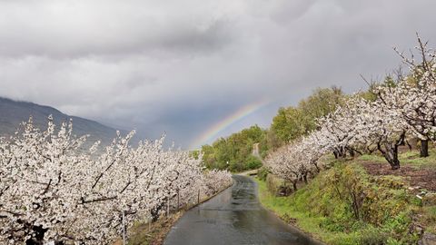 Carretera N-110, en Cáceres