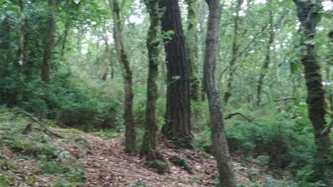 La sociedad forestal tiene más de un centenar de socios