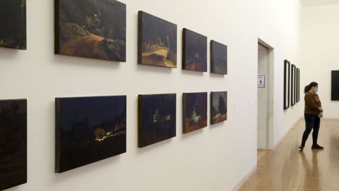 Unha visitante nunha das salas do CGAC que acolle a mostra sobre Belas Artes