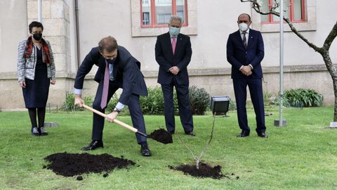 Plantación de una «figueiriña» en homenaje a Rosalía