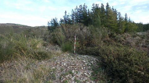 Mámoa atopada na serra de San Pedro