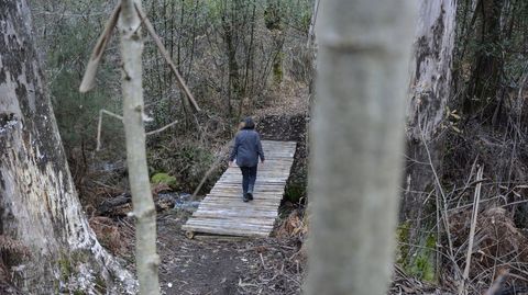 Monte Xiabre, entre Vilagarcía, Catoira y Caldas