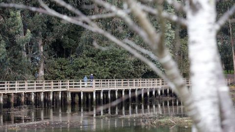 Espacio natural de A Xunqueira de Alba, en Pontevedra