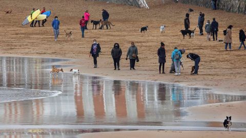 Un grupo de personas pasean con sus perros por la playa de San Lorenzo en Gijón
