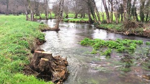 Vista del río Miño a su paso por el término municipal de A Pastoriza