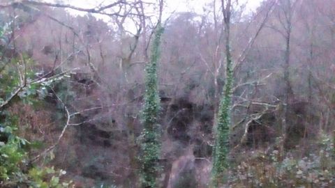 Zona de monte en la parroquia de A Órrea (Riotorto)