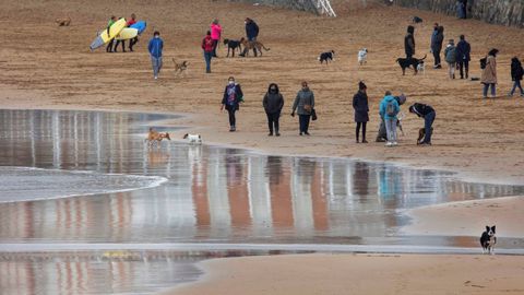 Un grupo de personas pasean con sus perros por el arenal de la playa de San Lorenzo en Gijn