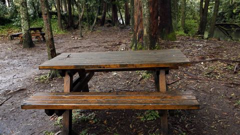 Chequeo en el paseo boirense del rio Coroño